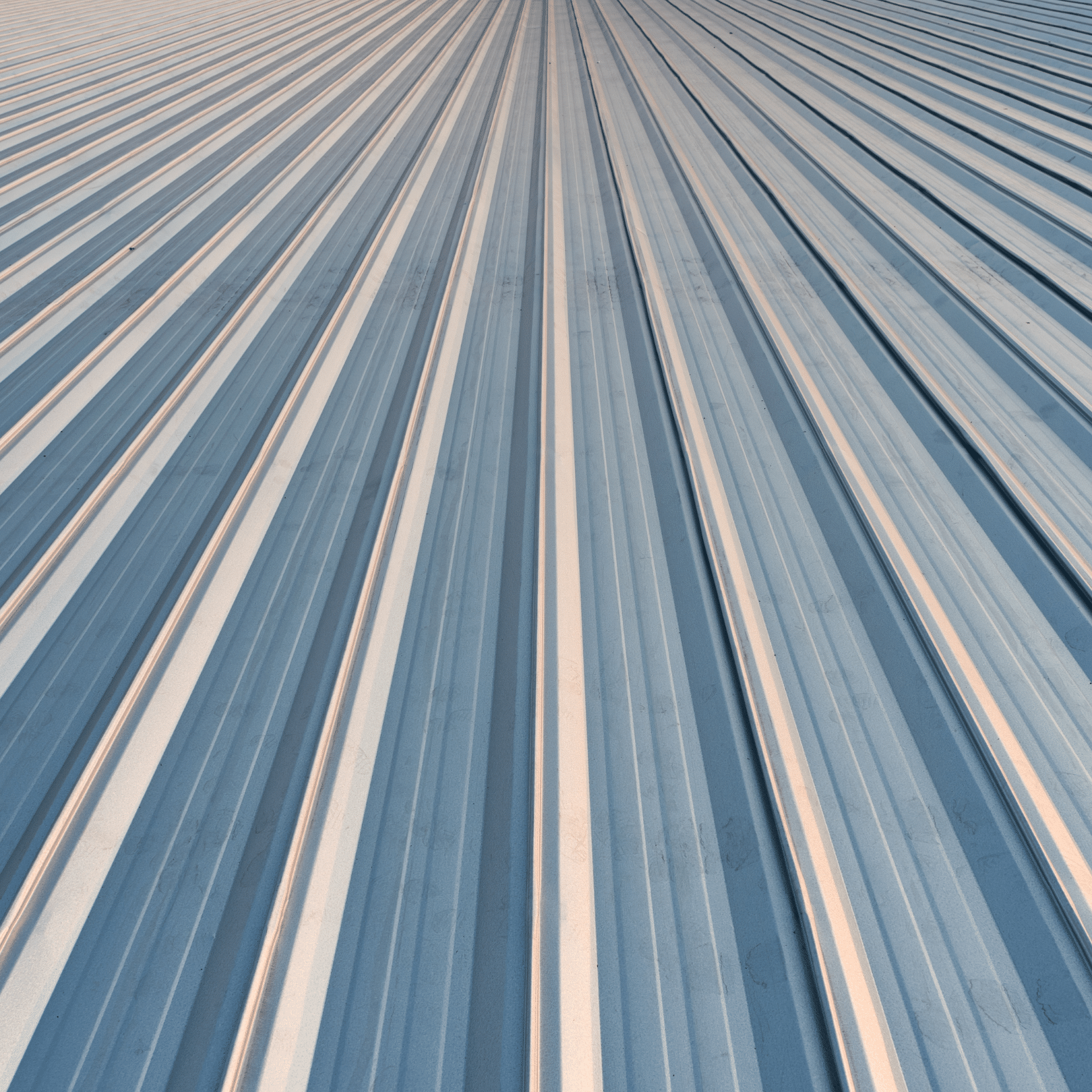 DM Exterior Metal Roof