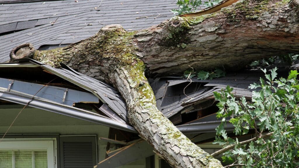 Storm Damage in Northeast Ohio What to Do and How Insurance Claims Work Does Insurance Claim Work After Storm Damage DM Ohio