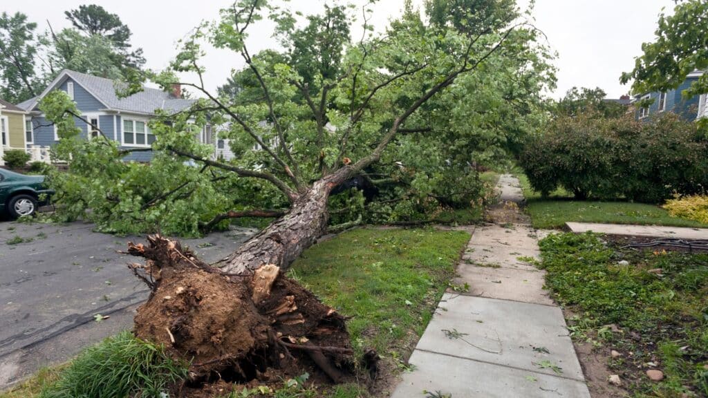 Storm Damage in Northeast Ohio What to Do and How Insurance Claims Work Storm Damage Assessment DM Ohio