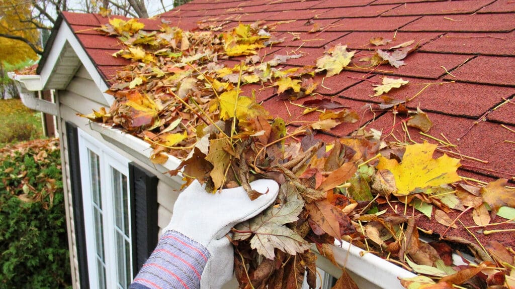 Fall Roof and Gutter Maintenance Checklist for Ohio Homeowners Gutter Cleaning DM Ohio